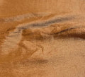Silk Shimmer